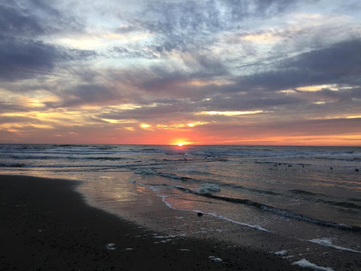 Luxe Vakantielodge In Callantsoog Aan Zee エクステリア 写真